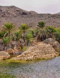 File:Wadi, Socotra Island (10286163725 ...
