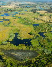 File:Okavango delta - Botswana ...