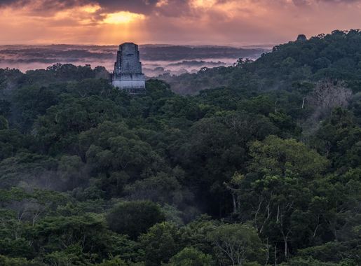 File:USAID Measuring Impact Conservation Enterprise Retrospective  (Guatemala; Rainforest Alliance) (38494925050).jpg - Wikimedia Commons