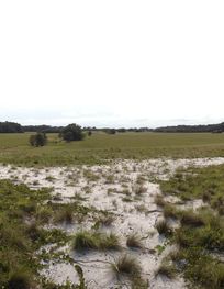 Loango National Park - Wikipedia