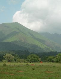 File:Mount Nimba Strict Nature Reserve ...