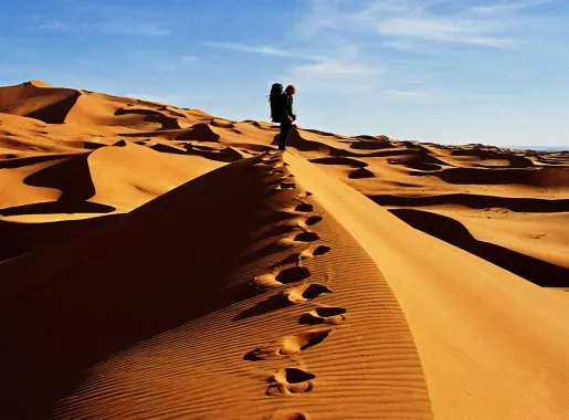 File:The sandy Sahara desert on the border of Morocco and Algeria.jpg -  Wikimedia Commons