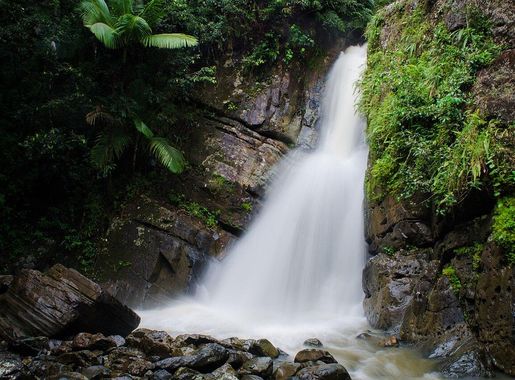 File:Waterfall in El Yunque.jpg - Wikimedia Commons