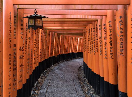 File:Torii path with lantern at Fushimi Inari Taisha Shrine, Kyoto,  Japan.jpg - Wikipedia