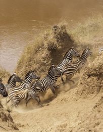 File:Masai Mara National Reserve 20 ...