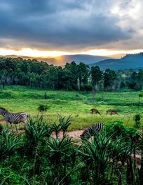 Mlilwane Wildlife Sanctuary.jpg ...