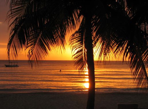 Free Images : beach, light, sunrise, sunset, night, palm tree, sunlight,  morning, dawn, dusk, evening, tropical, jamaica, arecales, palm family,  negril 2048x1536 - - 981443 - Free stock photos - PxHere