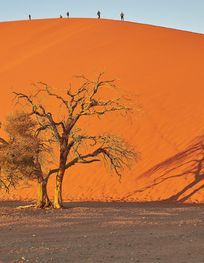 Dune 45 Sossusvlei Namibia.jpg ...