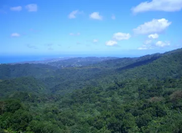 File:Yokahu Tower El Yunque National Forest View.jpg - Wikimedia Commons