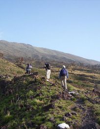 File:Tourists climbing Mount Cameroon ...