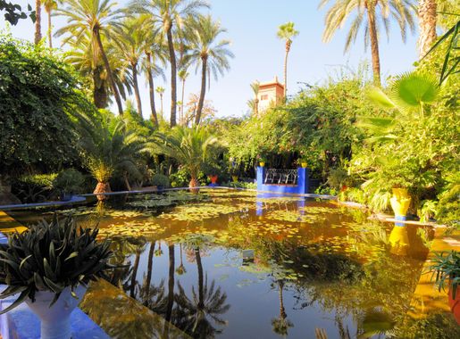 File:Le jardin des majorelle 40.JPG - Wikimedia Commons