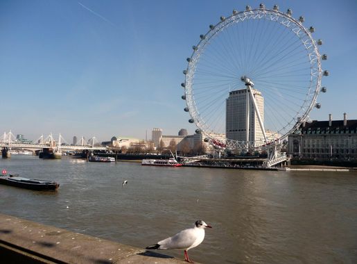 File:London , Westminster - River Thames and London Eye - geograph.org.uk -  1740634.jpg - Wikimedia Commons